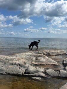 Miley on the Vänern lake, europes third largest lake