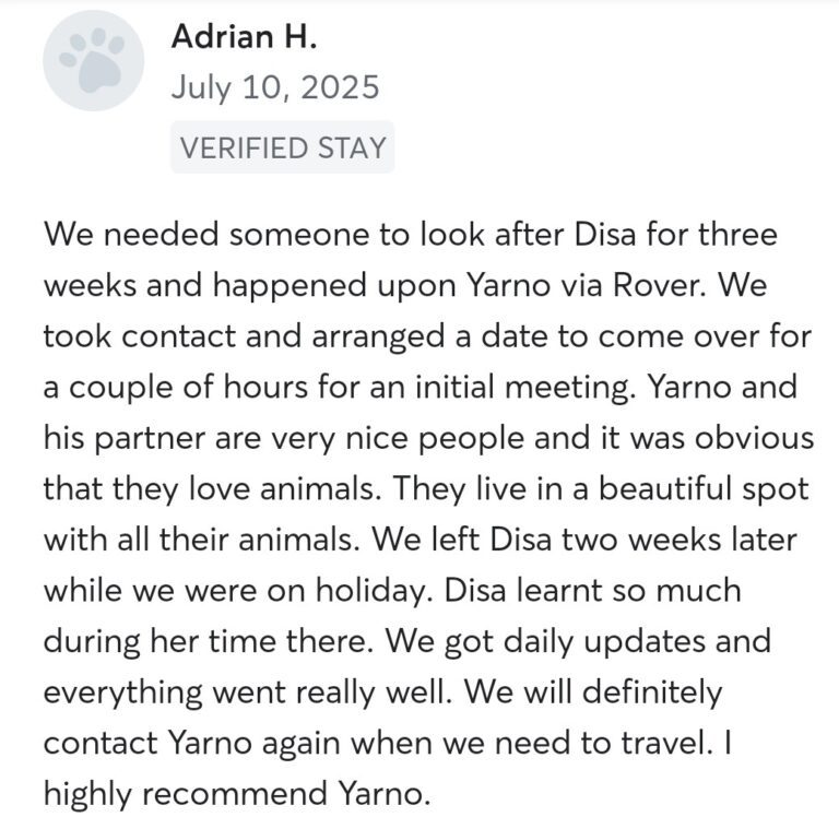 Screenshot_20260308-191344