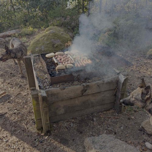 BBQ grillen lagerfeuer