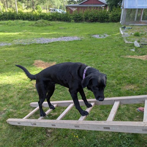 PXL_20250706_160206679